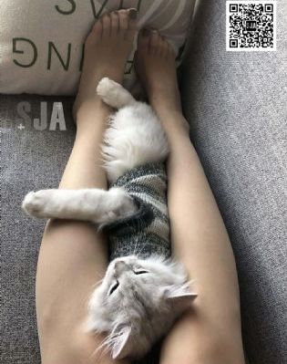 女被c黄扒衣服漫画_高清高清在线